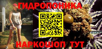 прущие грибы Среднеуральск